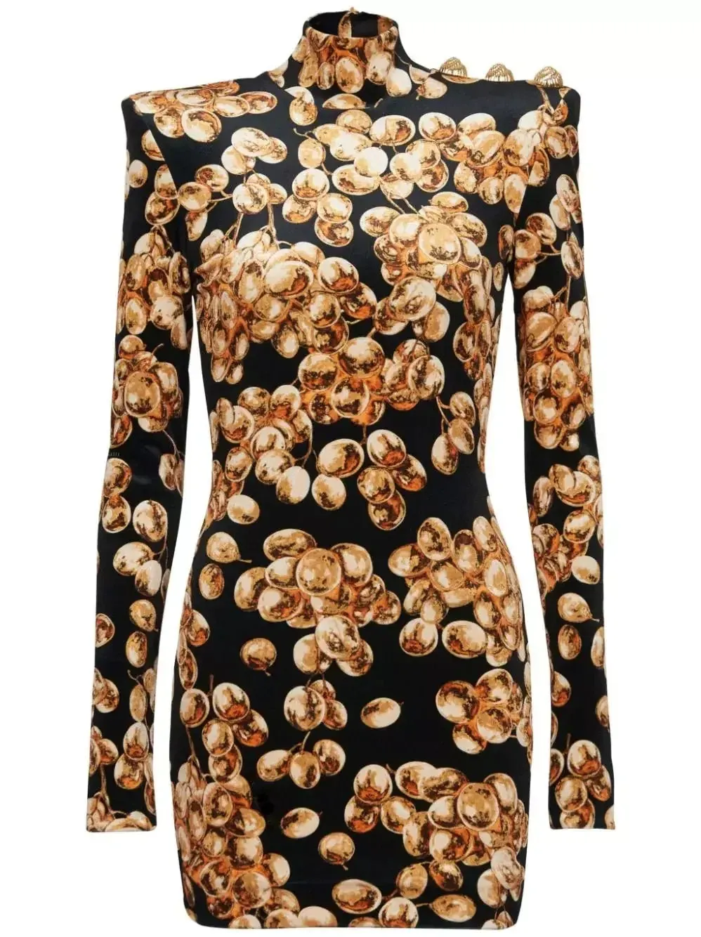 Black with Gold-Tone Grape Print Velvet Dress