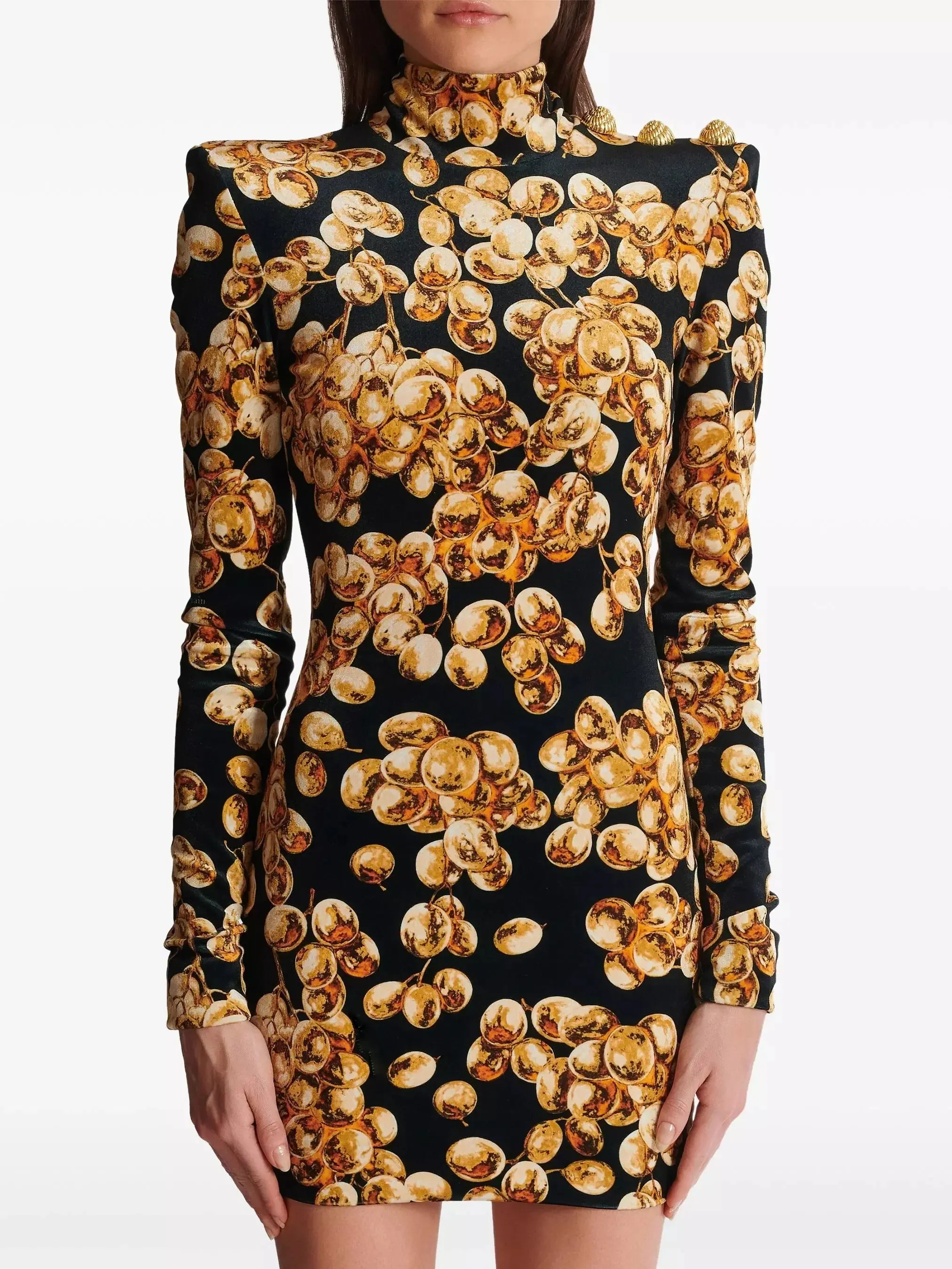 Black with Gold-Tone Grape Print Velvet Dress